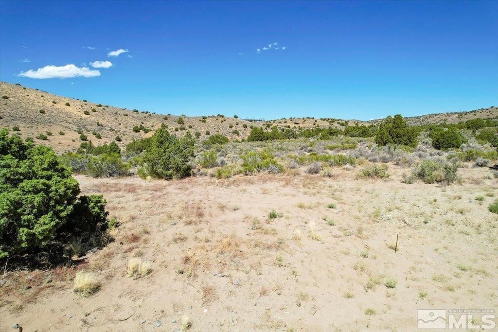 Picture 30