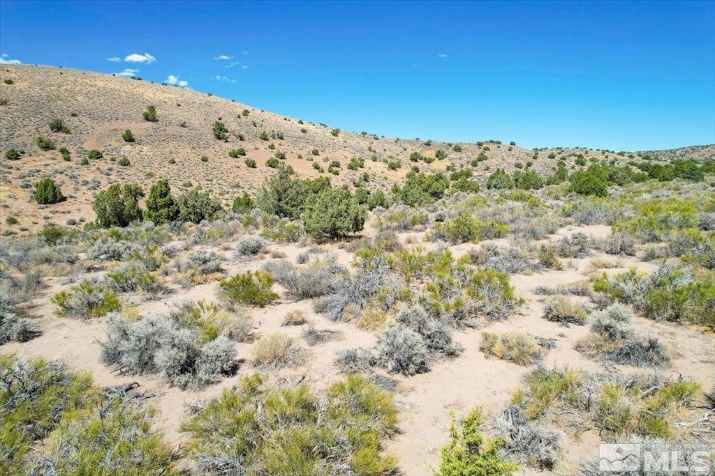 Picture 37