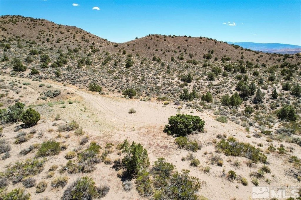 Picture 25