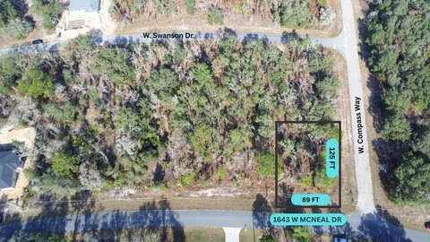 Land, CITRUS SPRINGS, FL