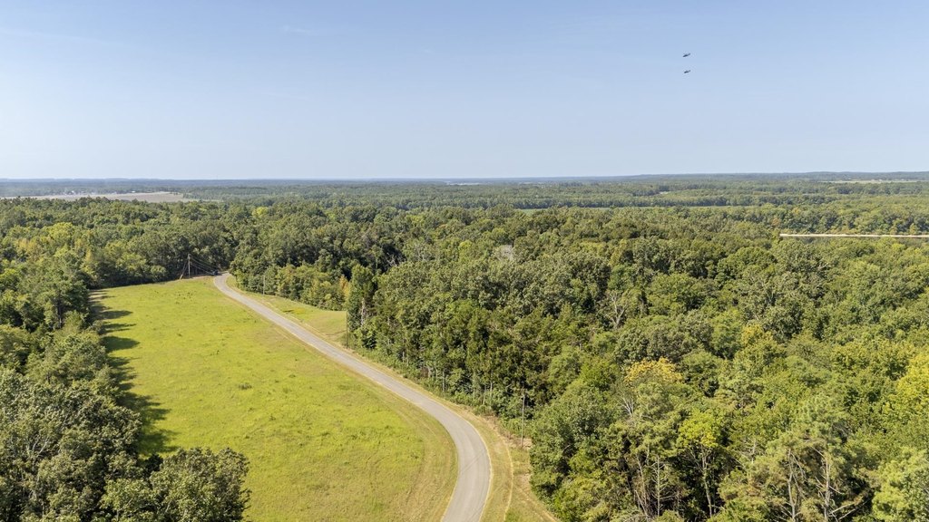 Picture 19