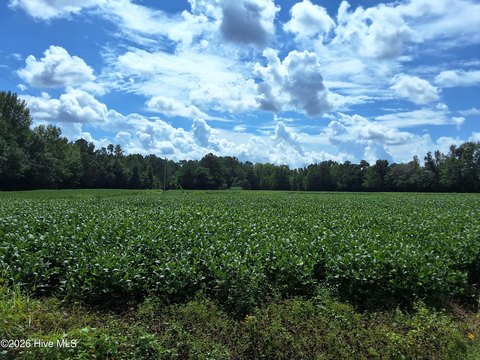 Land, Whiteville, NC