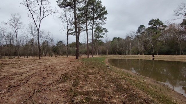 Picture 2