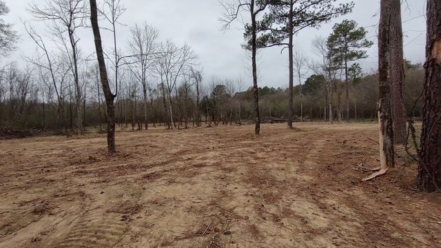 Picture 5
