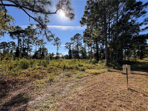 Residential Lot in Lehigh Acres