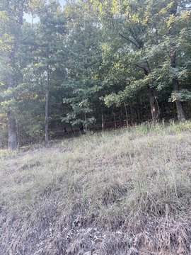 LAND - Mayflower, AR