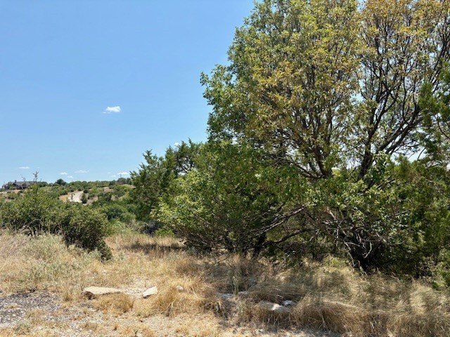 Picture 7