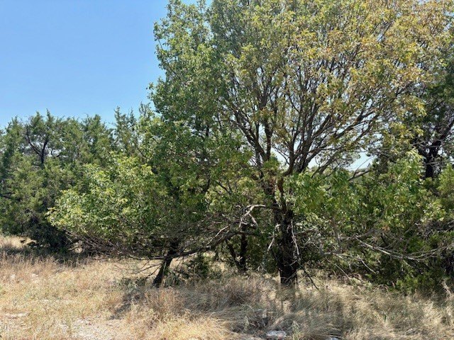 Picture 8