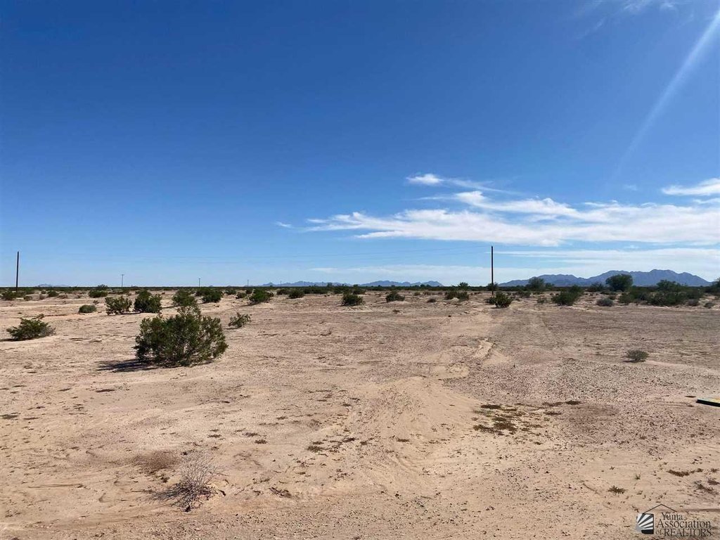 Picture 8