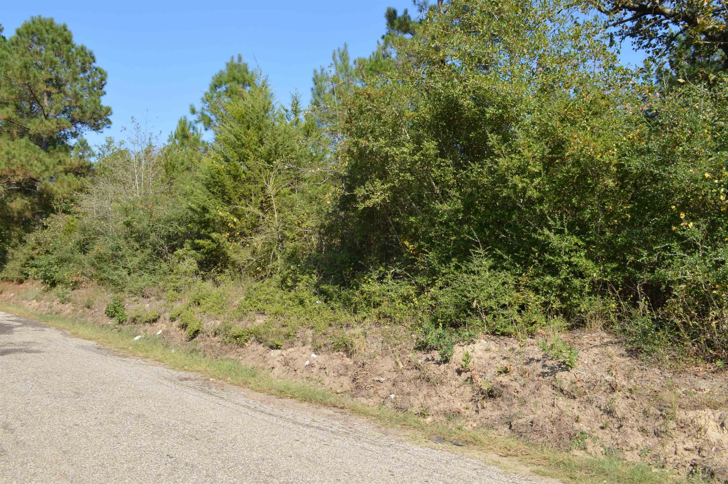 50 Acres Land in Jefferson,TX