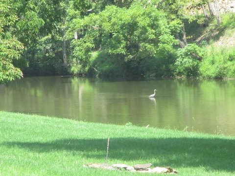 Riverfront Recreational Lots with Camper