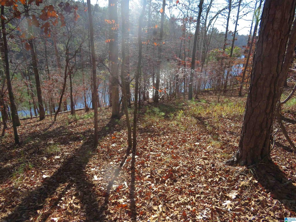 Picture 11