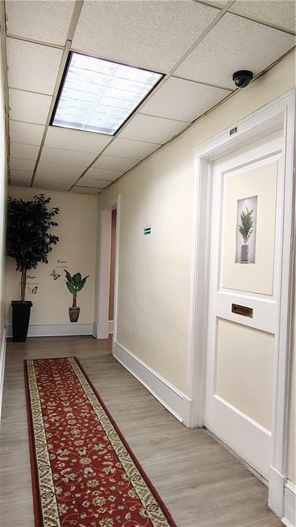 Picture 6