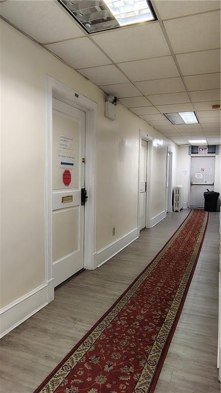 Picture 7