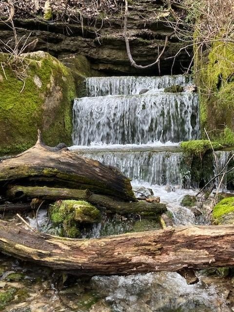 Wooded Land with Spring Waterfall