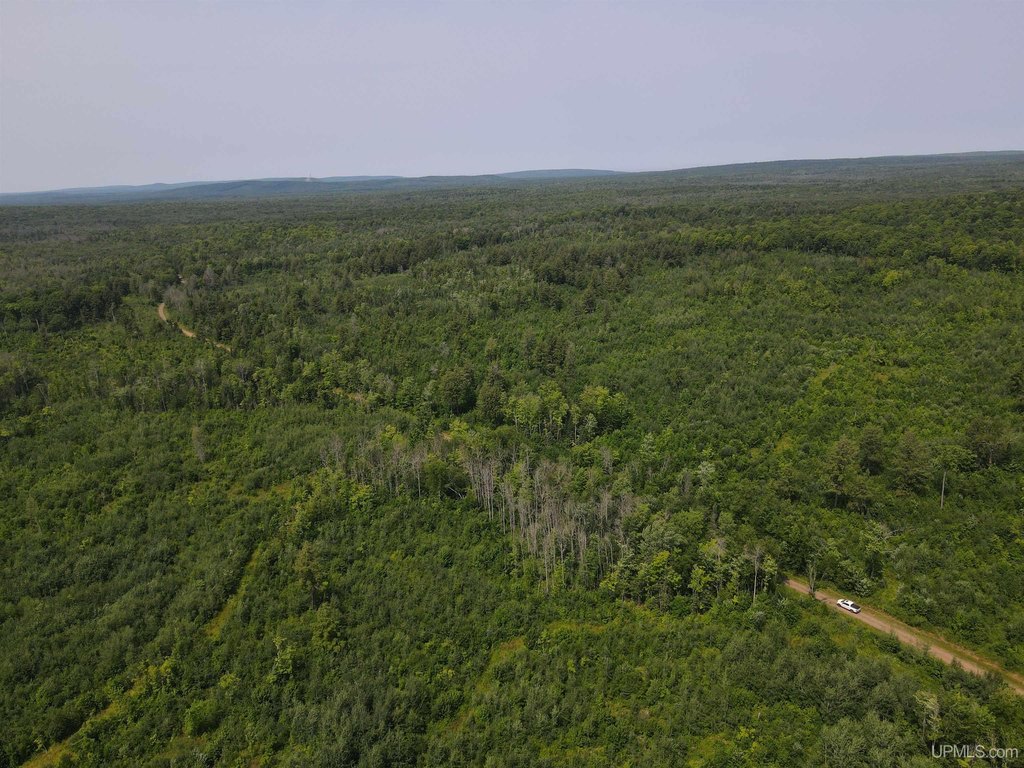 Picture 29