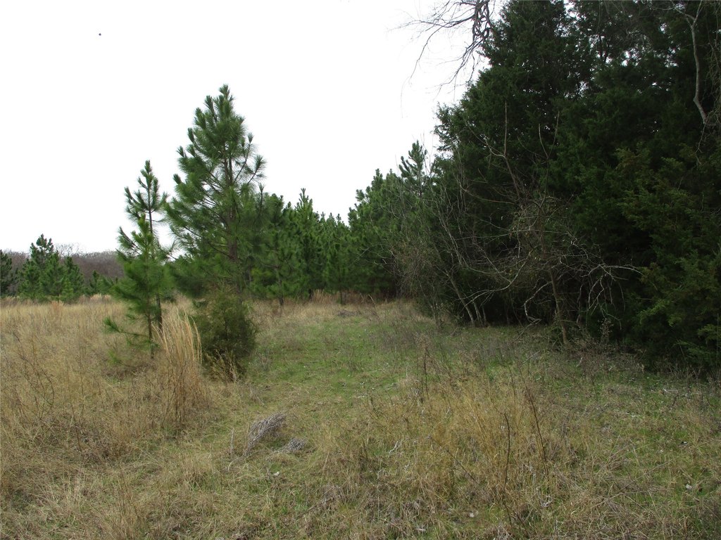 Picture 4