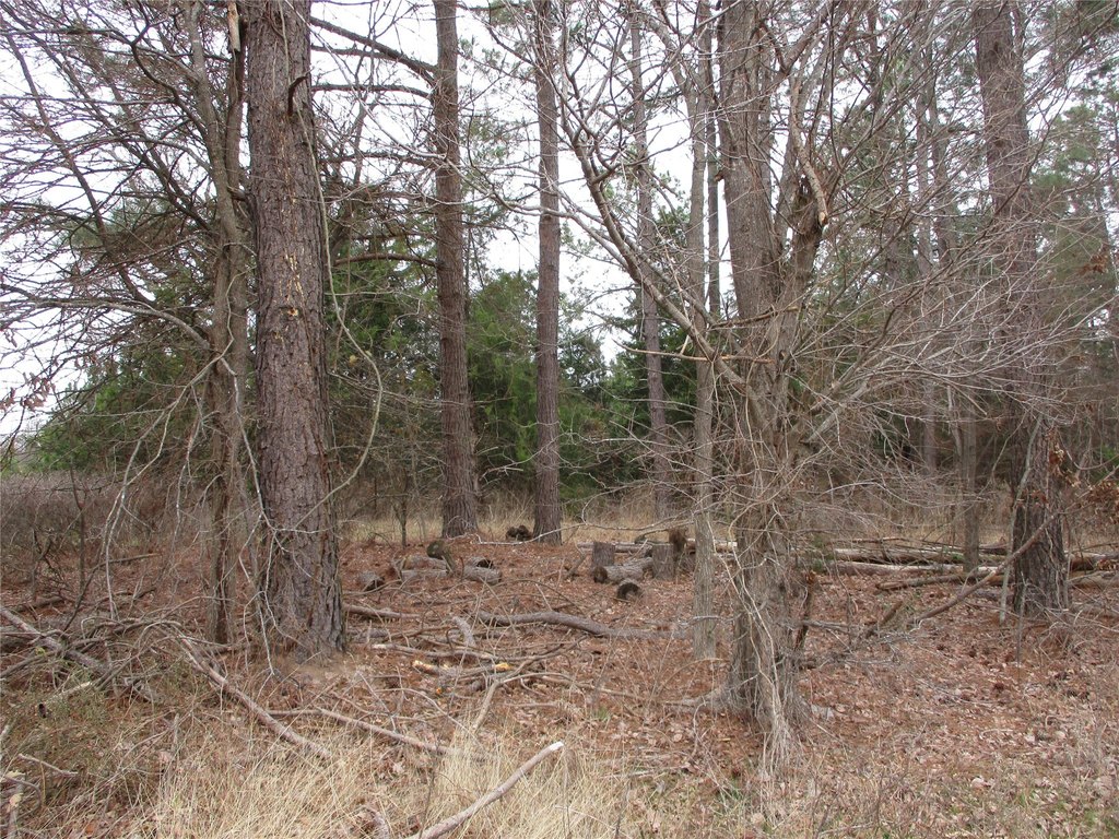 Picture 3