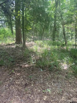 LAND - Bullard, TX