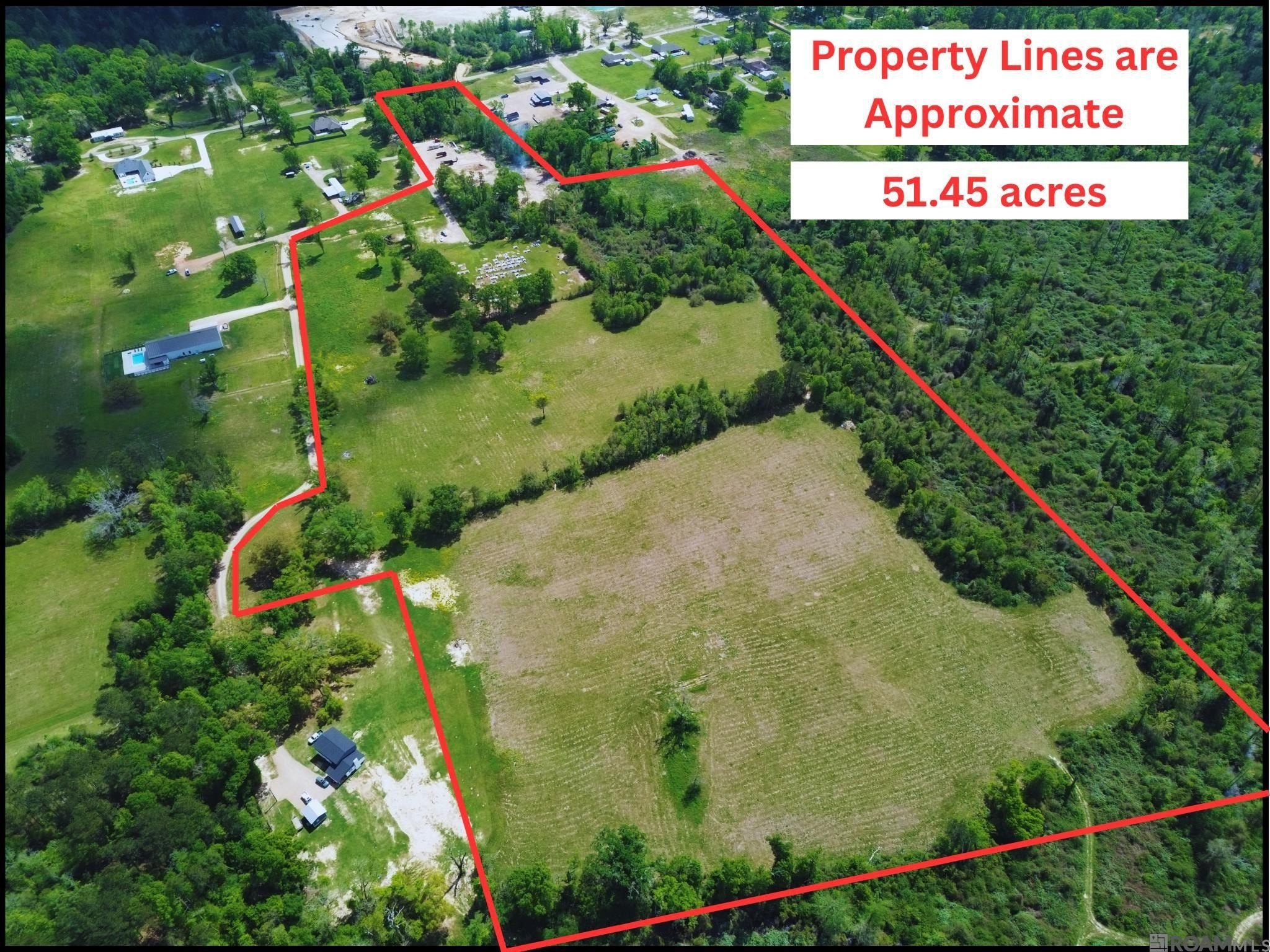 51.55 Acres of Wooded Land