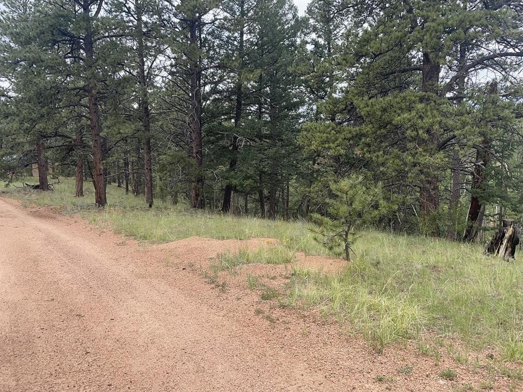 Mountain Land in Cripple Creek