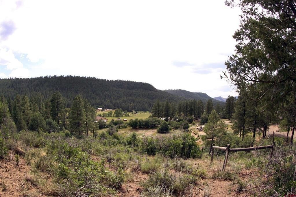 Picture 40