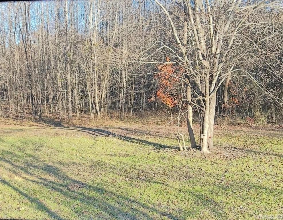 Heber Springs Acreage with Potential