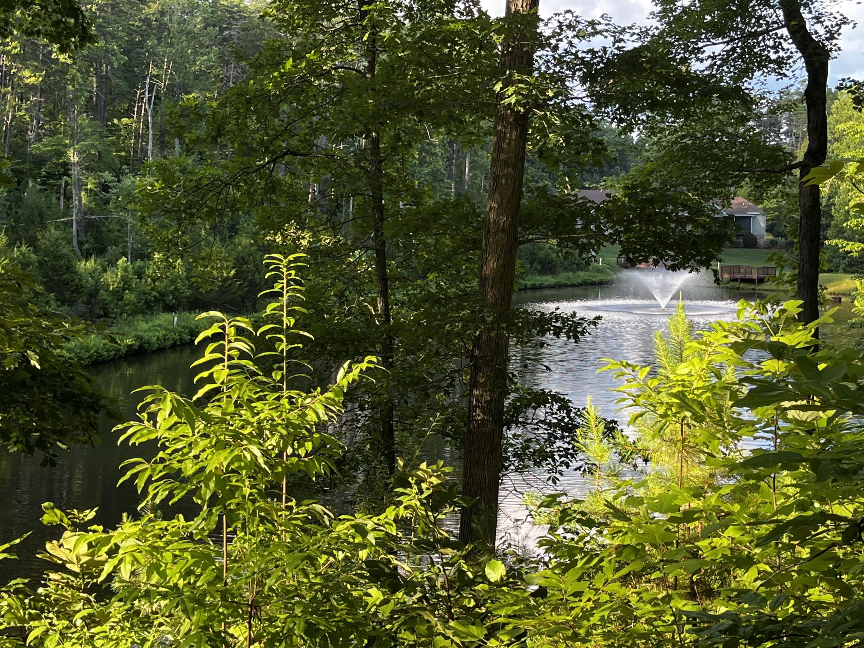 Waterfront Land in Runaway Bay