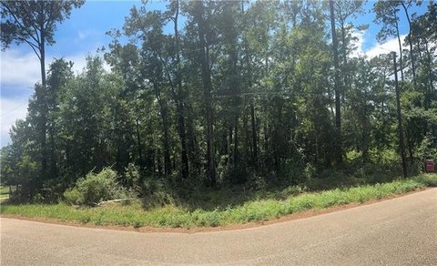 Waterfront Land in Lacombe, LA