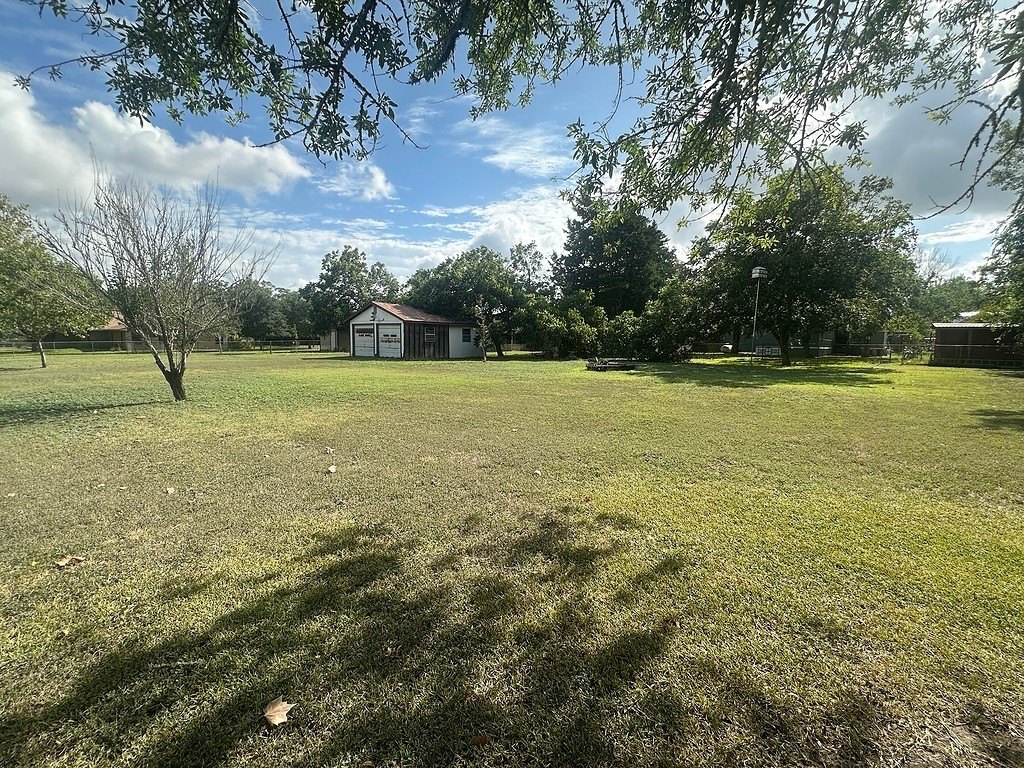 Picture 5
