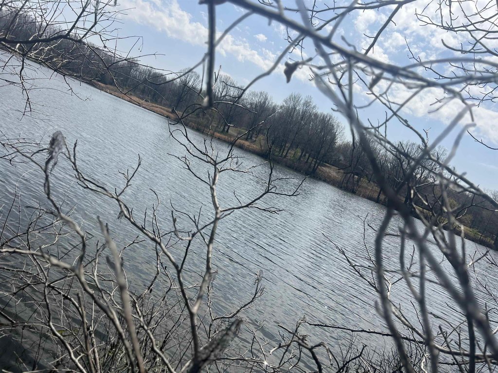 Picture 36