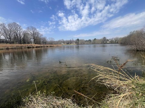 Piggott Land with Lake