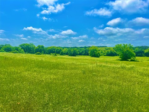 Acreage Land with Mature Oak Trees