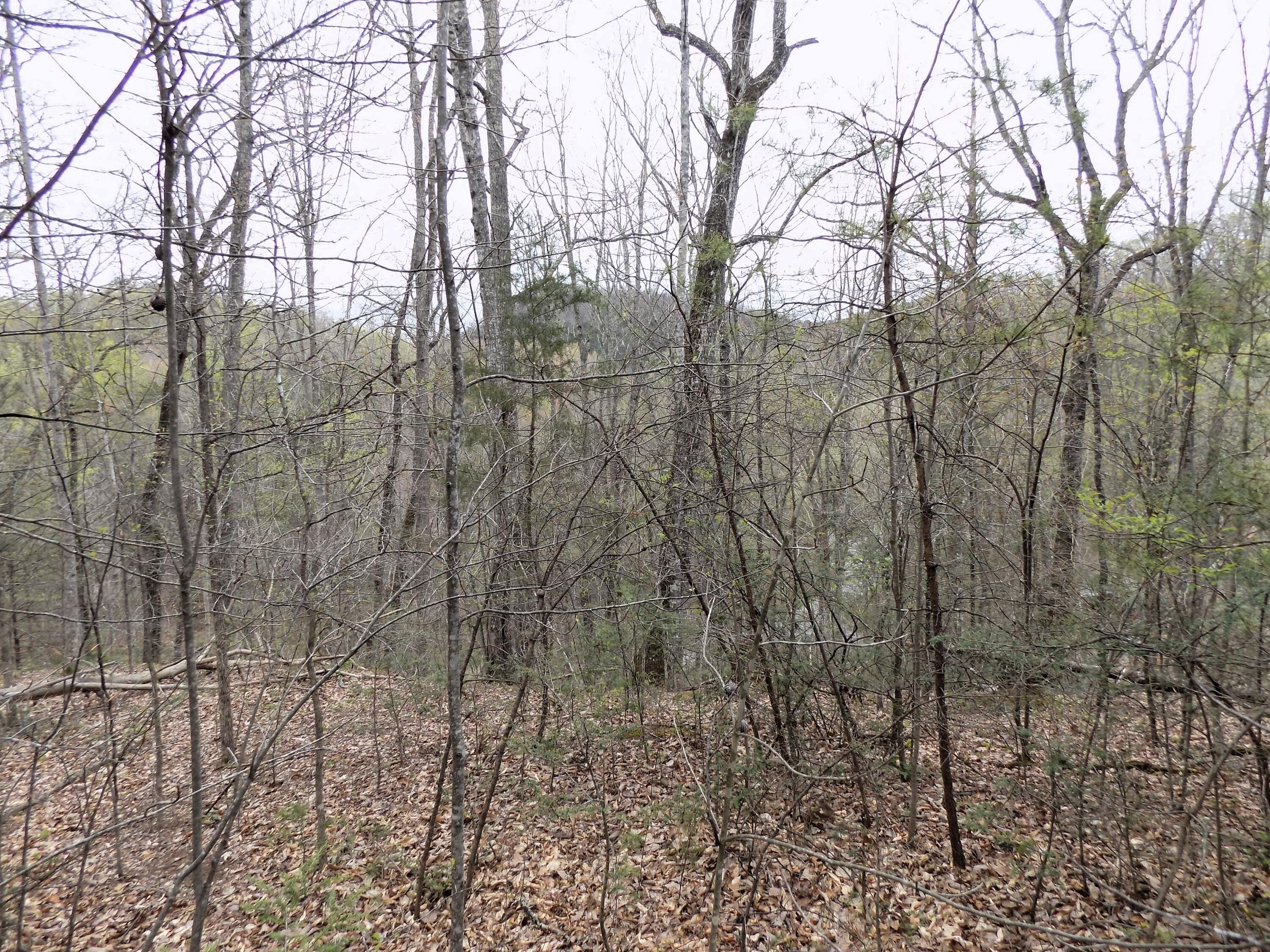 Cosby, TN Land Parcels