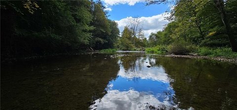 Land, Cortland, NY