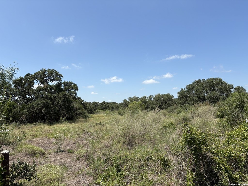 Picture 6