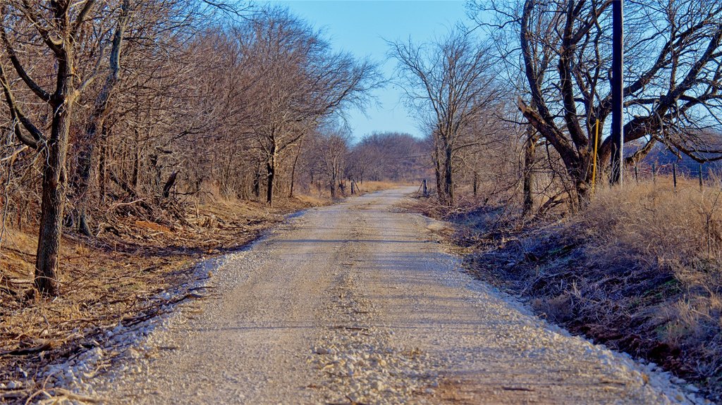 Picture 17