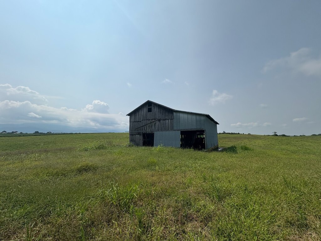Picture 28