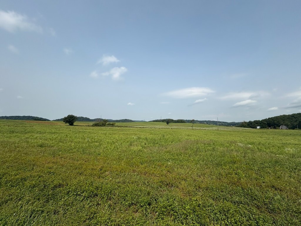 Picture 29
