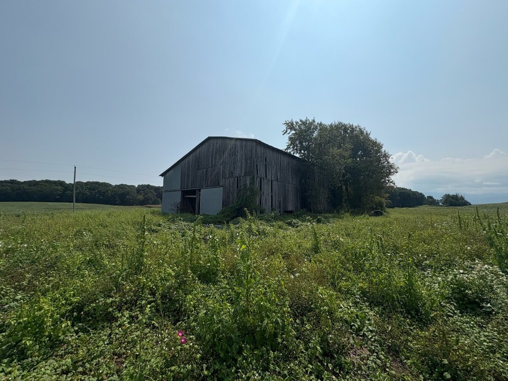 Picture 26
