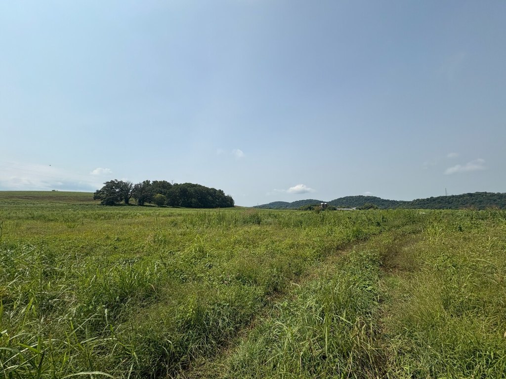Picture 21
