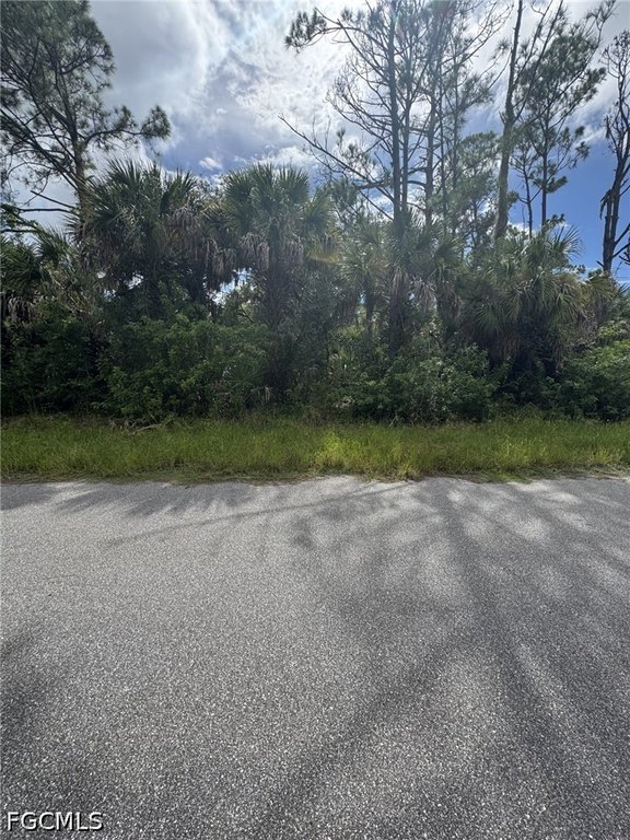 Picture 4