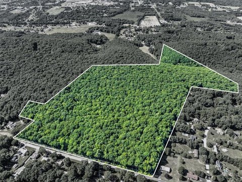 Wooded Mountain View Land Tract