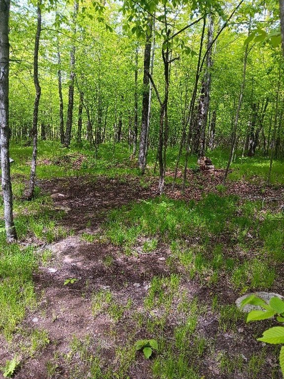 Picture 7