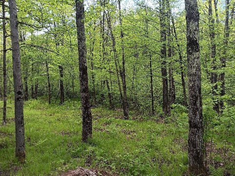 Land with Lake Access