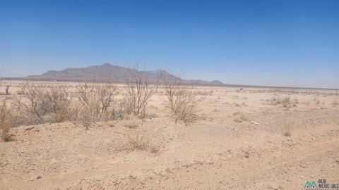 319 Acres in Deming, NM
