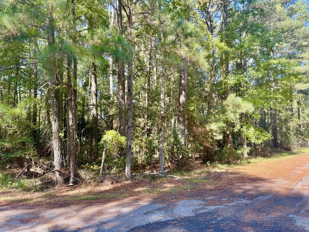 Picture 10