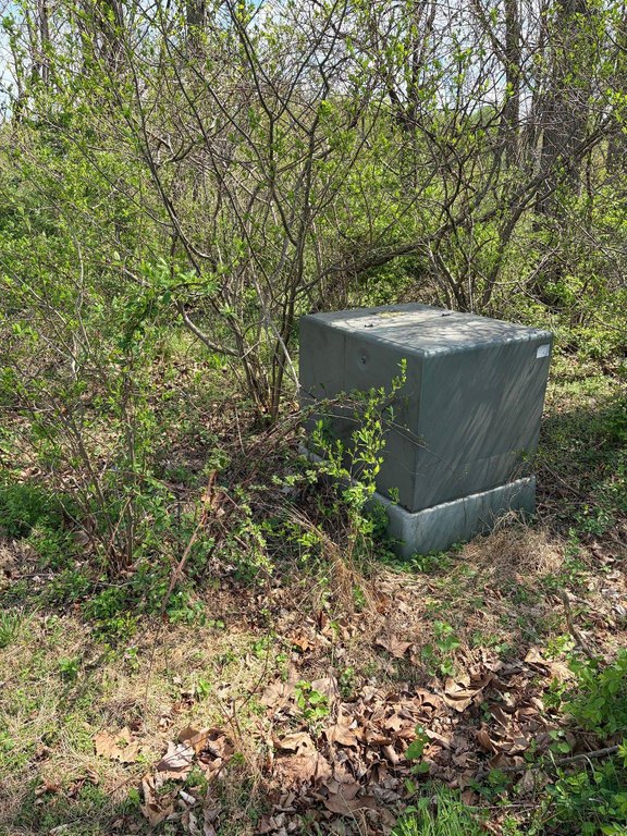 Picture 4