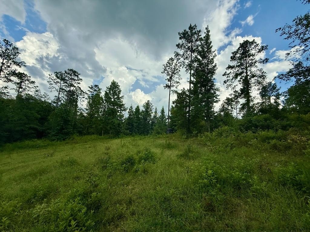 Land in Troy, Alabama