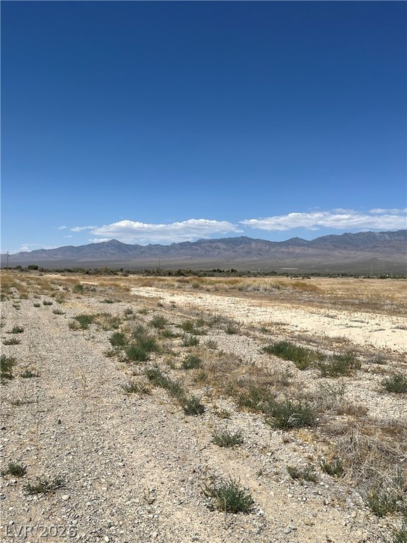Picture 11